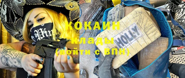 стаф Вязьма