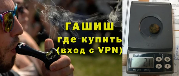 стаф Вязьма
