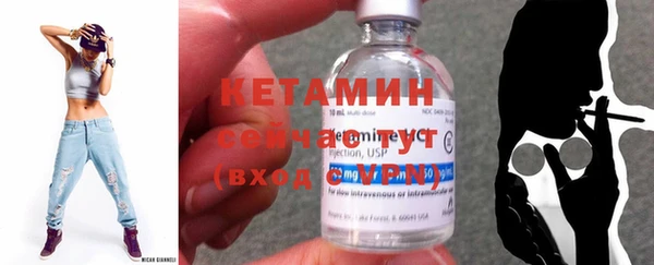 apvp Вяземский