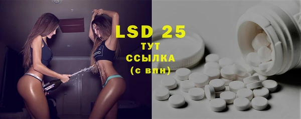 apvp Вяземский