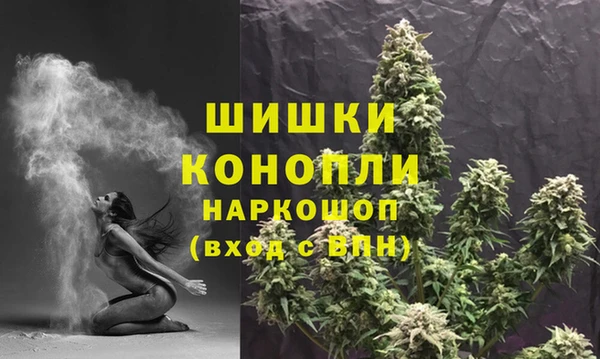 дурь Горняк