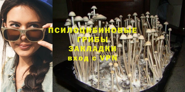 Альфа ПВП Михайлов