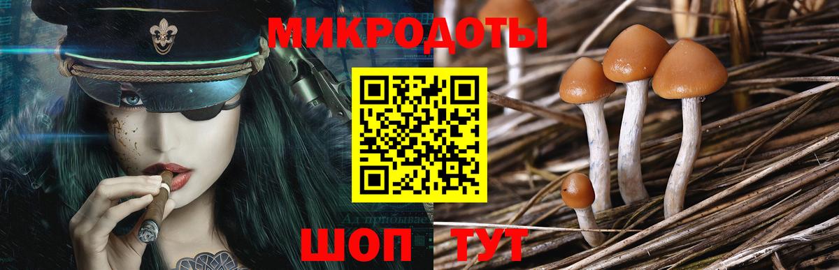 Галлюциногенные грибы GOLDEN TEACHER Губкин