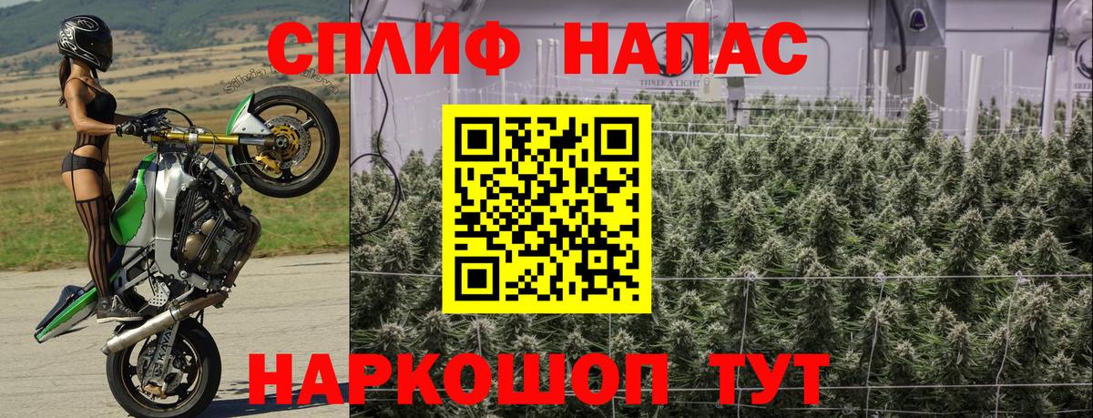 APVP Губкин